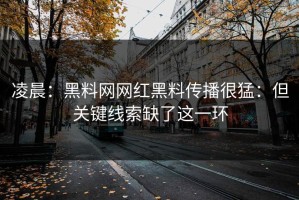凌晨：黑料网网红黑料传播很猛：但关键线索缺了这一环