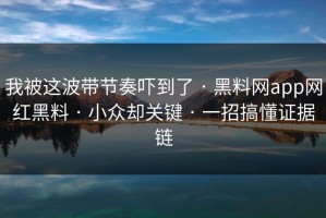 我被这波带节奏吓到了 · 黑料网app网红黑料 · 小众却关键 · 一招搞懂证据链