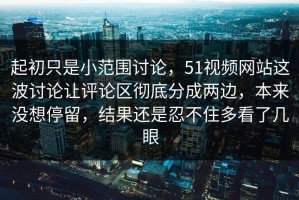 起初只是小范围讨论，51视频网站这波讨论让评论区彻底分成两边，本来没想停留，结果还是忍不住多看了几眼