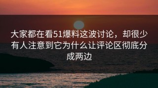 大家都在看51爆料这波讨论，却很少有人注意到它为什么让评论区彻底分成两边