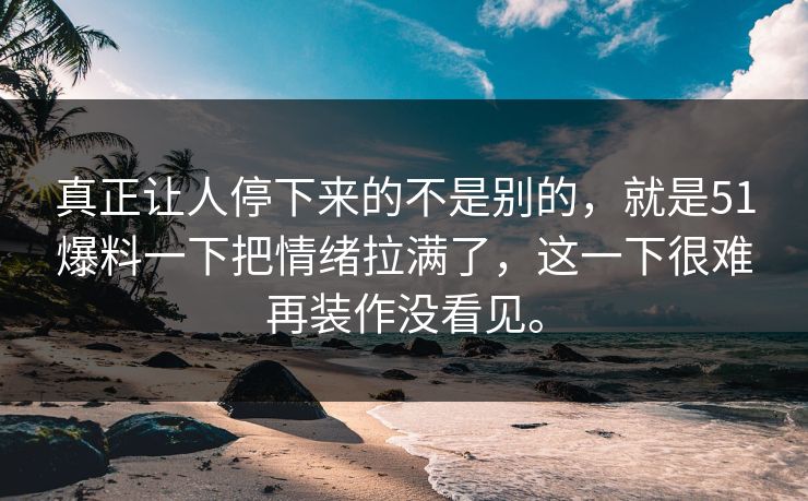 真正让人停下来的不是别的，就是51爆料一下把情绪拉满了，这一下很难再装作没看见。