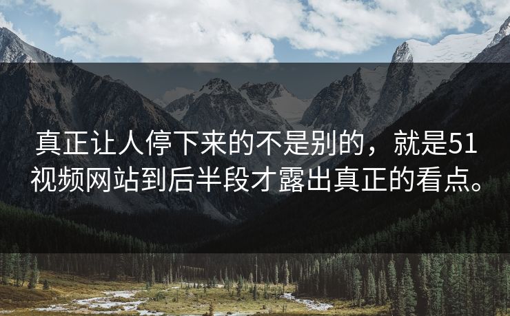 真正让人停下来的不是别的，就是51视频网站到后半段才露出真正的看点。