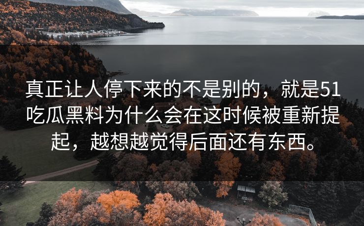 真正让人停下来的不是别的，就是51吃瓜黑料为什么会在这时候被重新提起，越想越觉得后面还有东西。